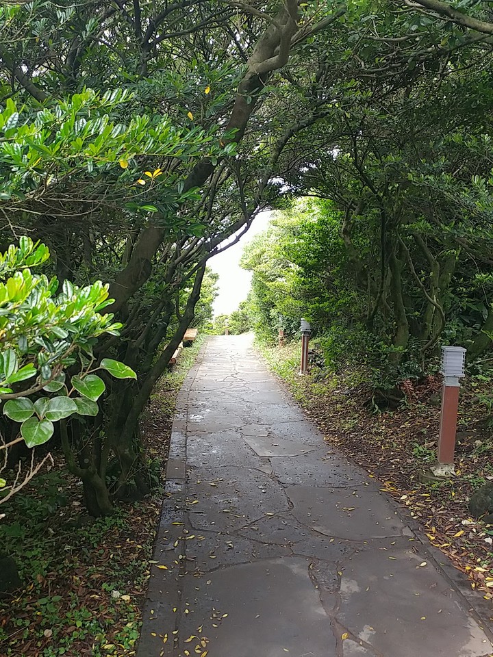 한반도