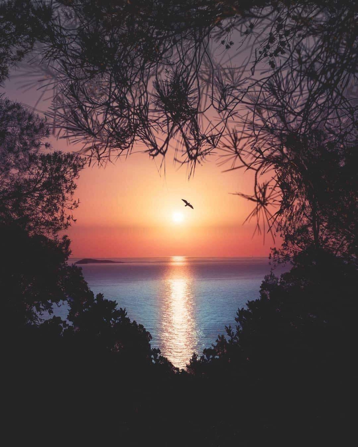 Mother Nature's Heart