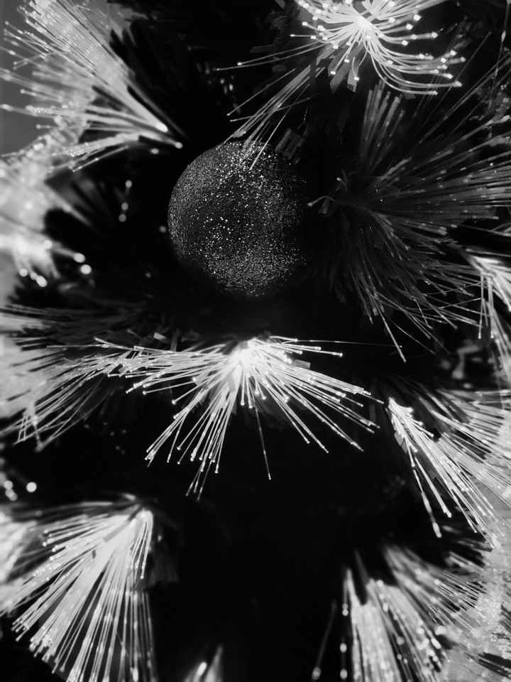 Christmas white and Black