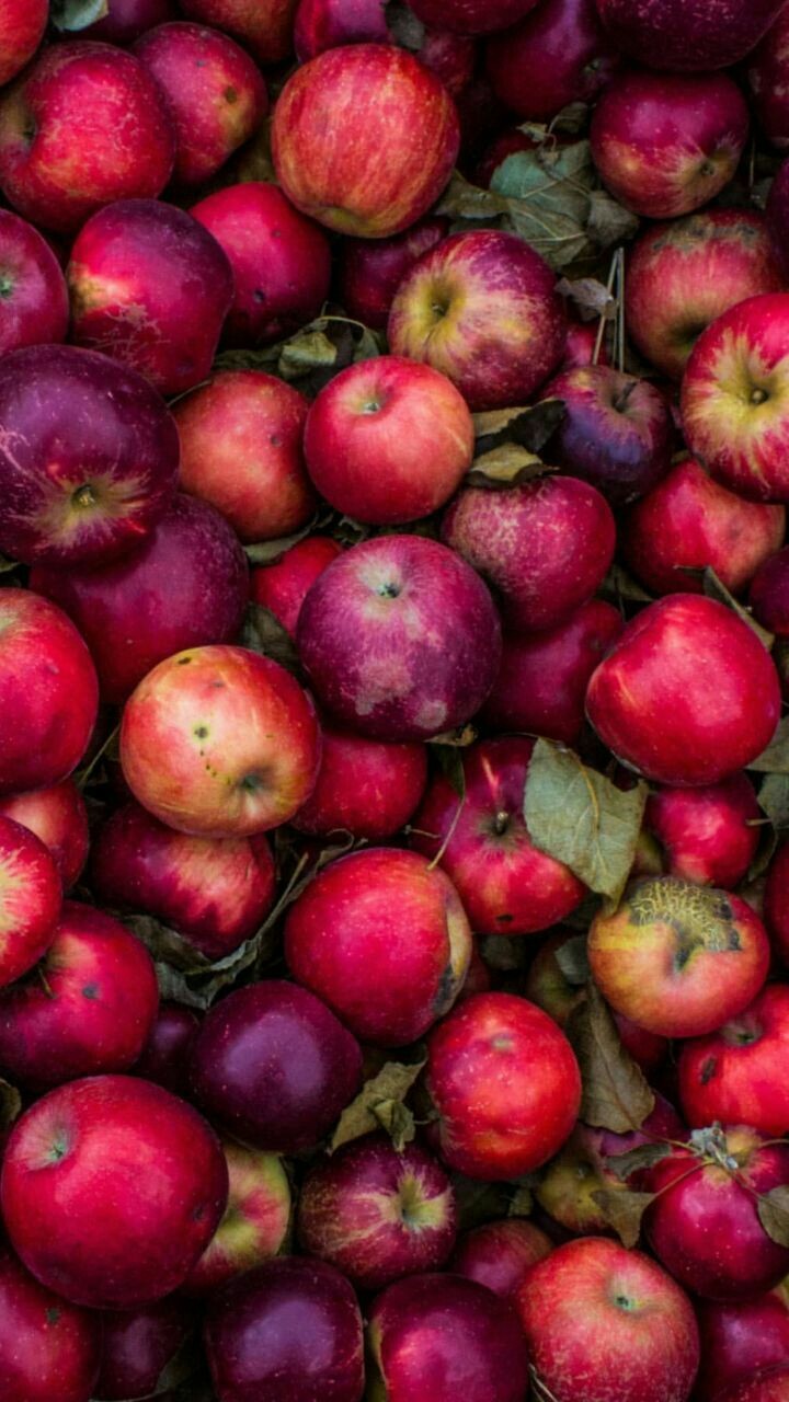 Apples