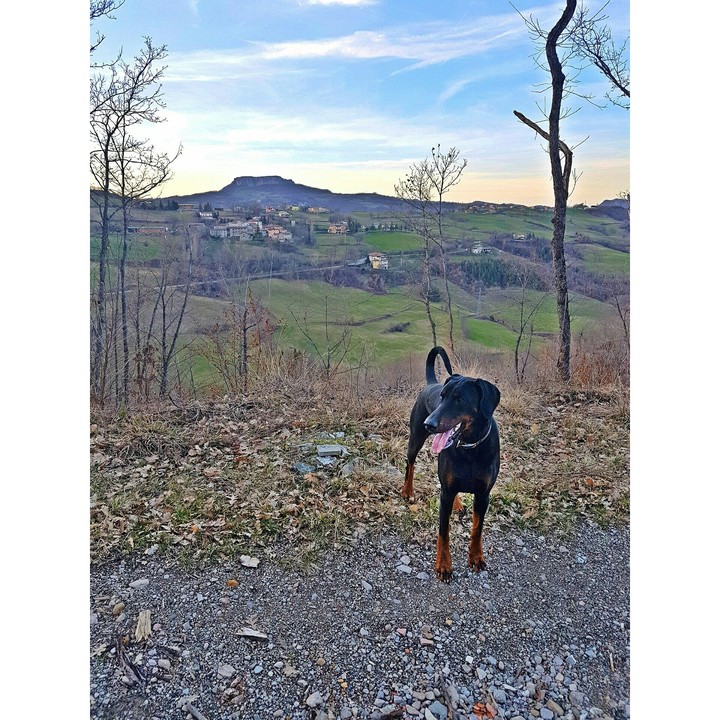 raissa