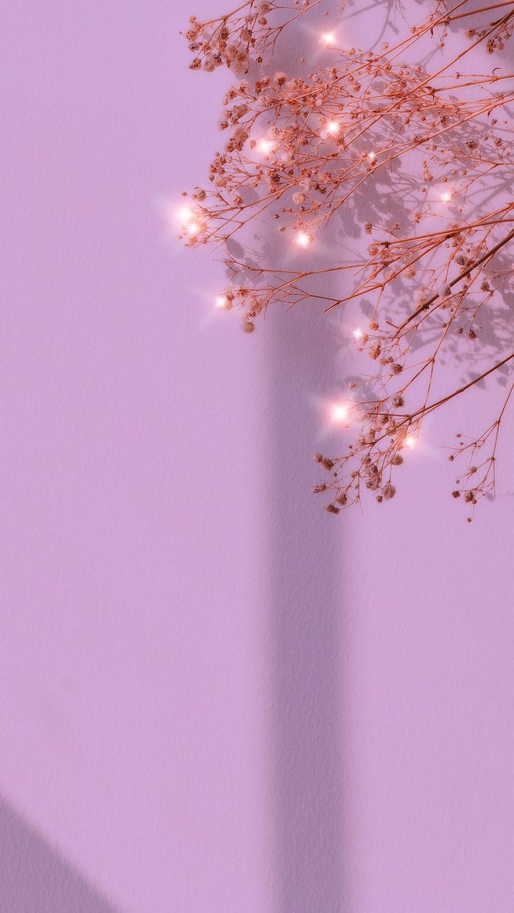 Aesthetic