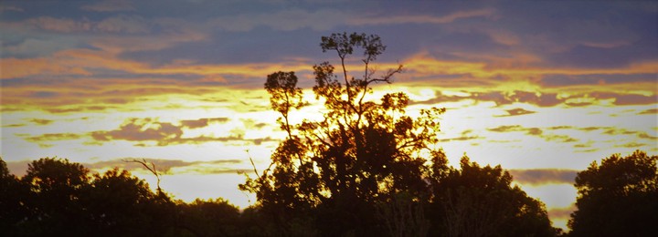 The sky is filled with gold!