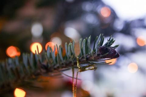 tumblrxmas, bookeh桌布