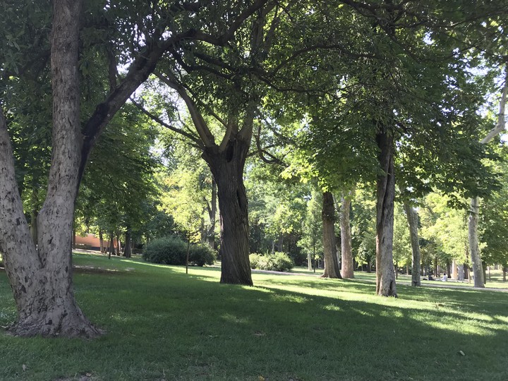 Parque del retiro, Madrid