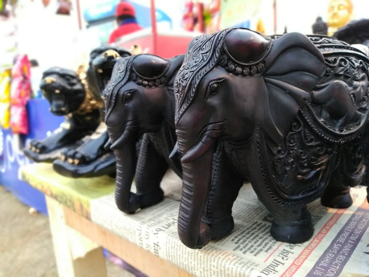 Masterpiece Elephant