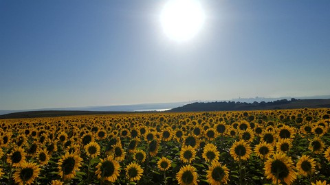 sfondi sky, summer