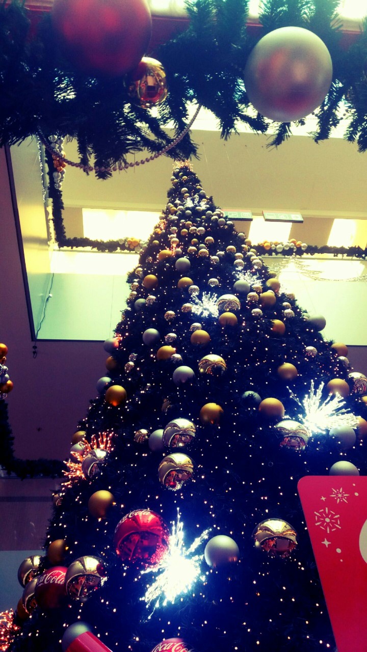 Huge Christmas Tree 