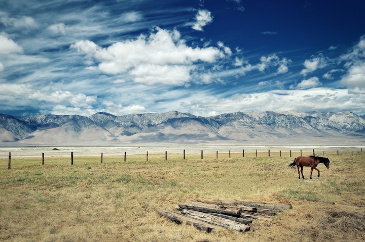 Mountains and Grass