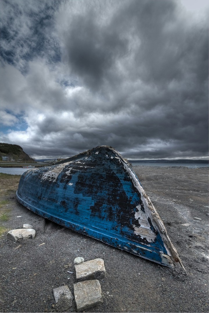 Blue Whale
