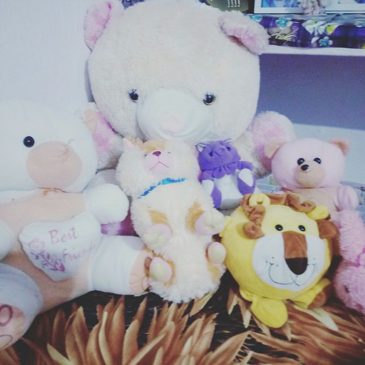 teddy