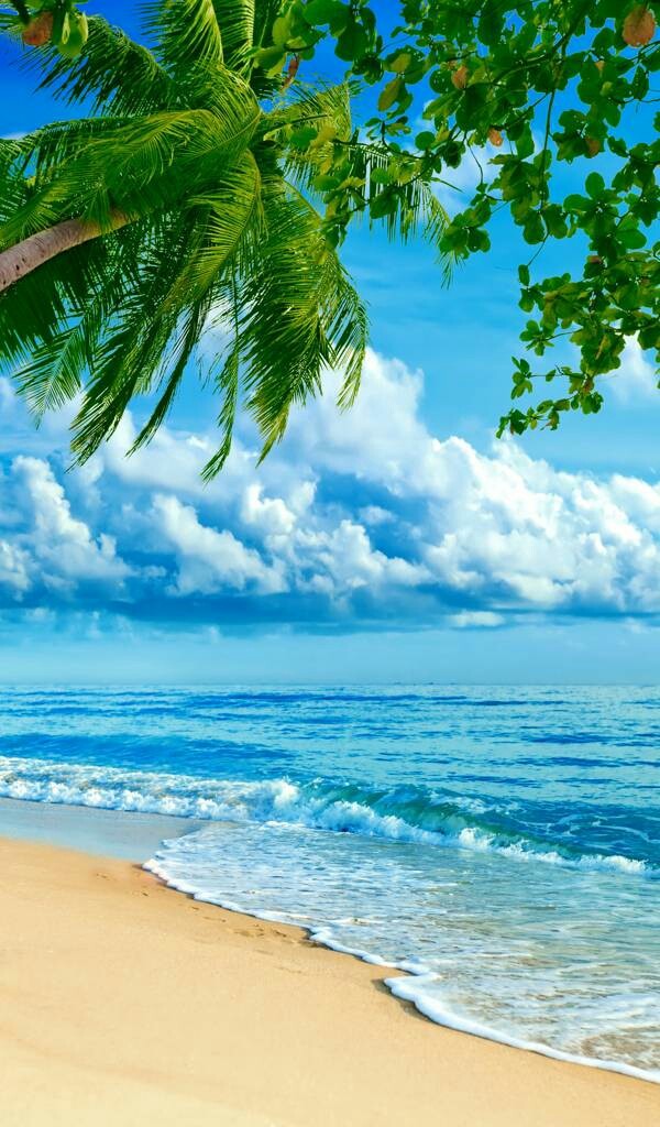 Hermosa playa