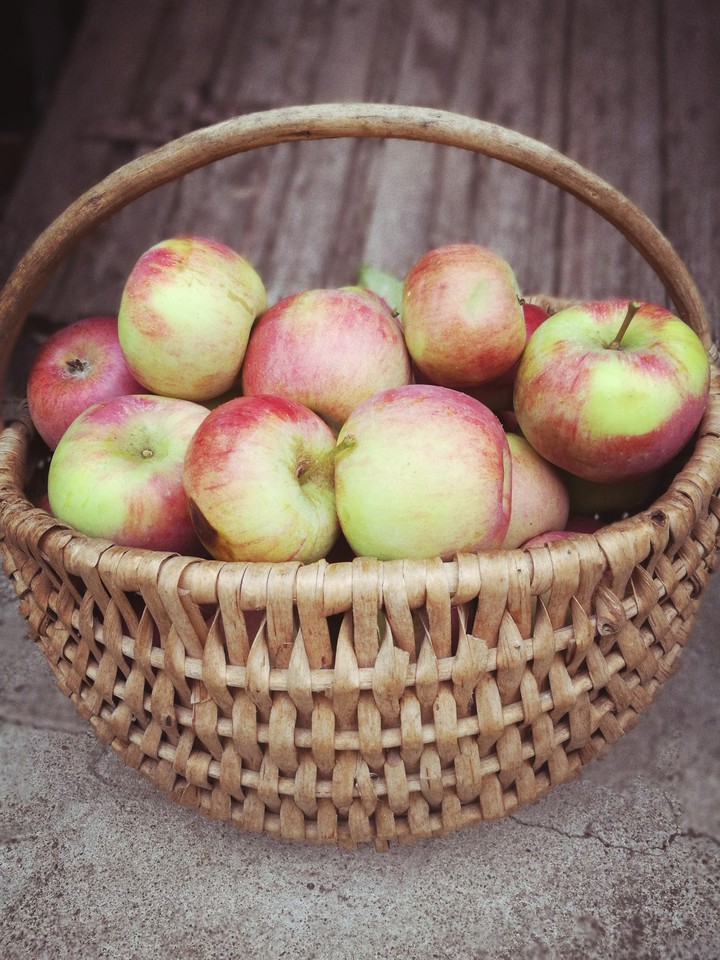 Basket of Apples