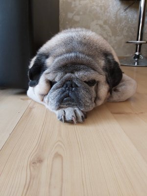 sleep?