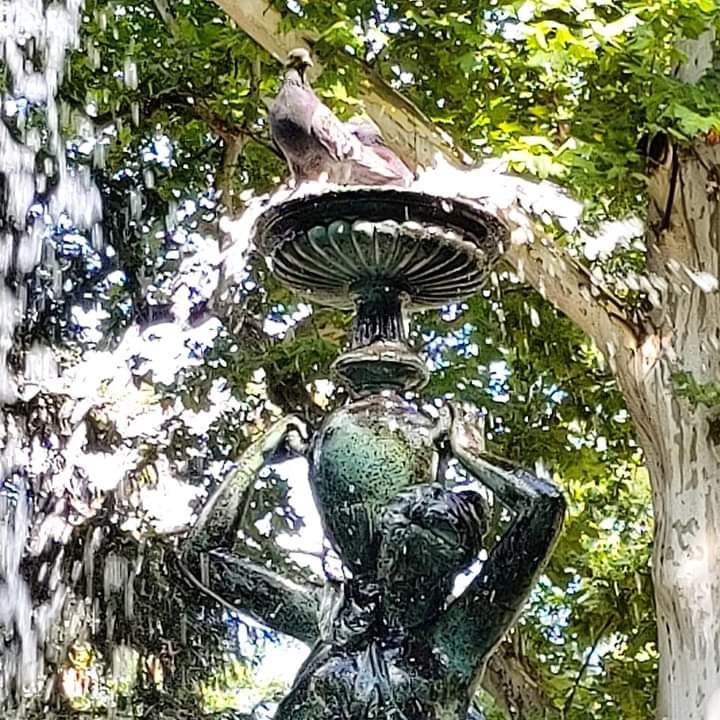 Vrsac - fontane