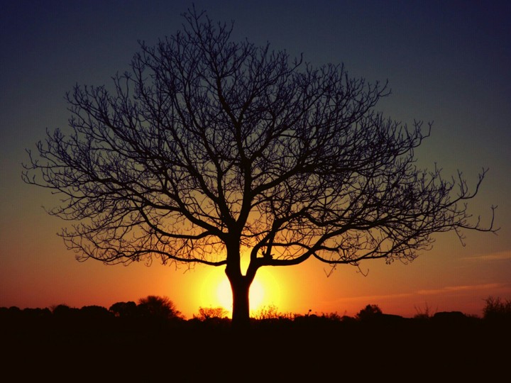 atardecer