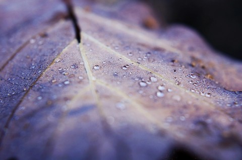 stille
