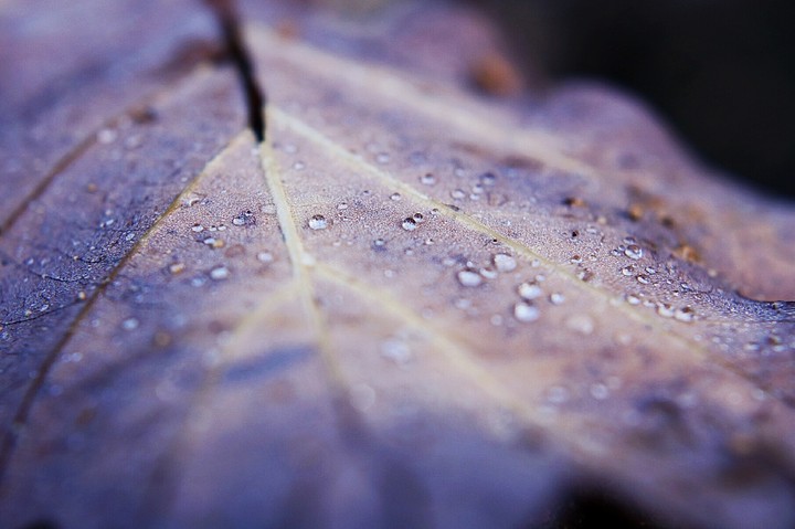 stille
