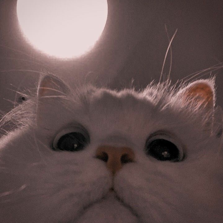 ♡♡♡