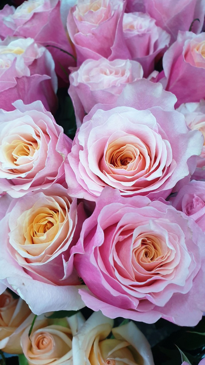 ❤