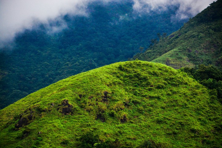Wayanad