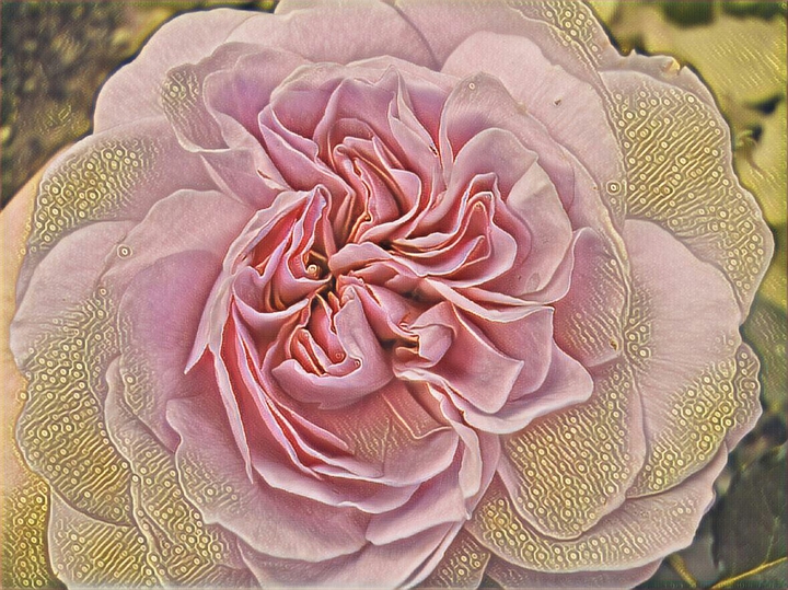 pink and gold