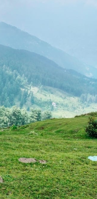 sfondi grassland, slope