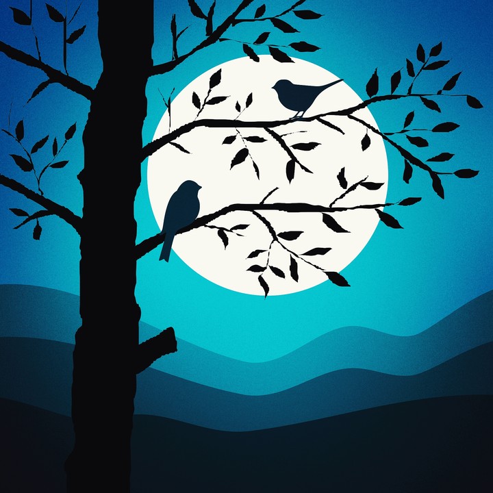 Moon light with birds...