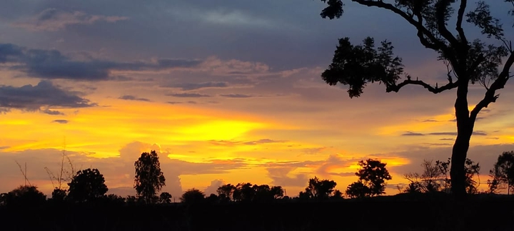 sky