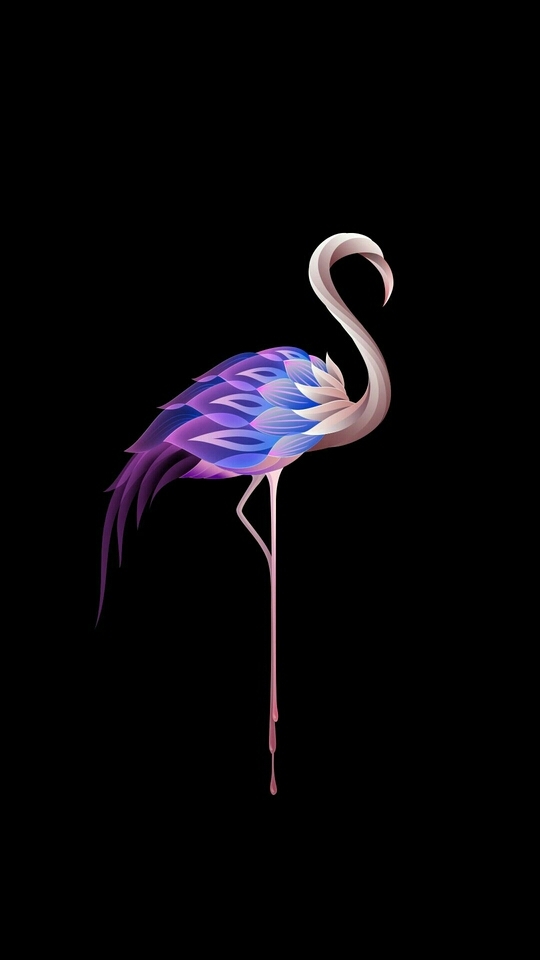 flamingo