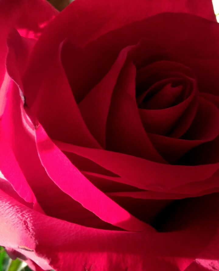❤