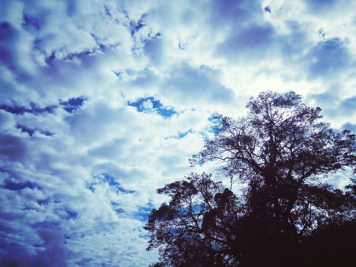 Thought the sky