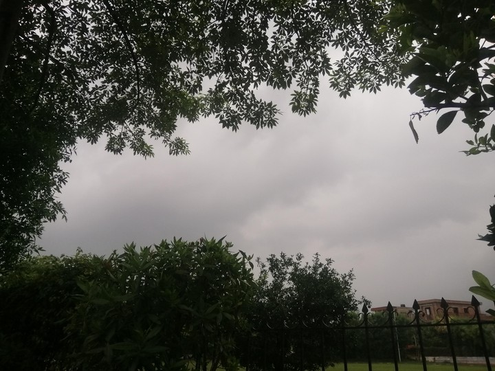 wheather ❤