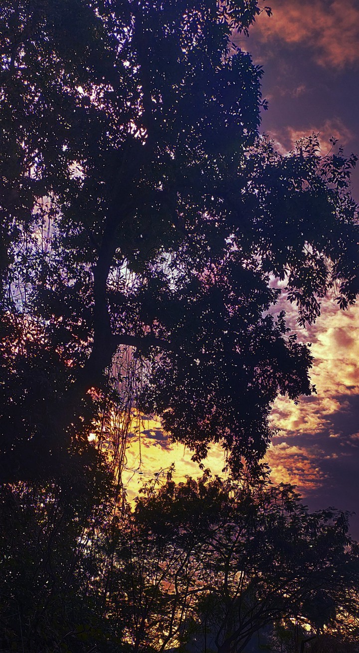 sunrise