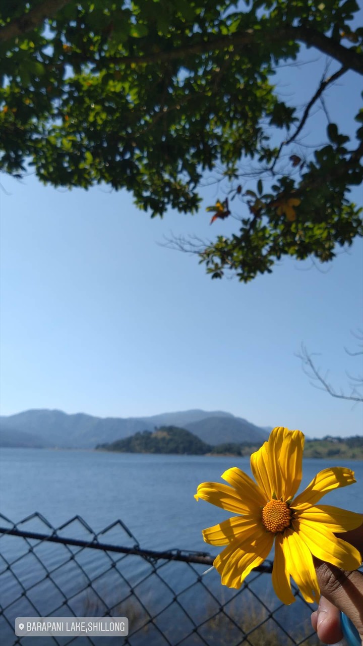 shillong lake view