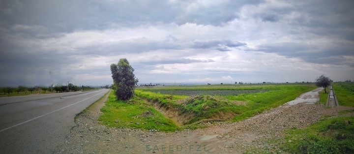 Dezful