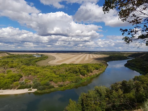 خلفيات lake, vegetation
