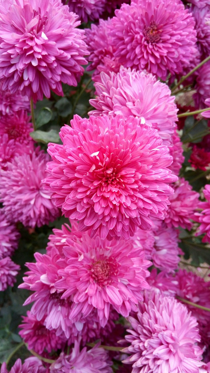 natural beauty