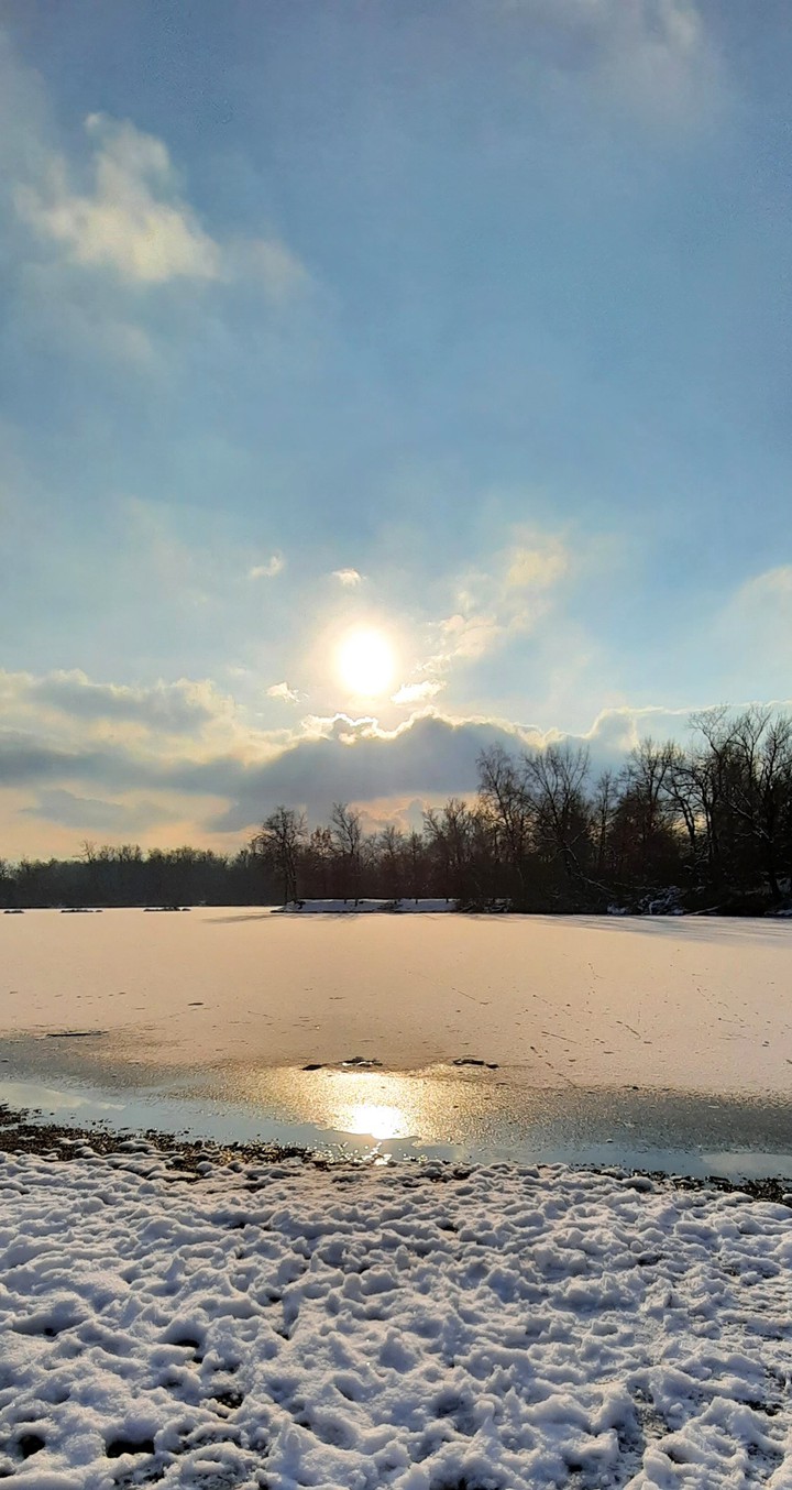 Waldsee
