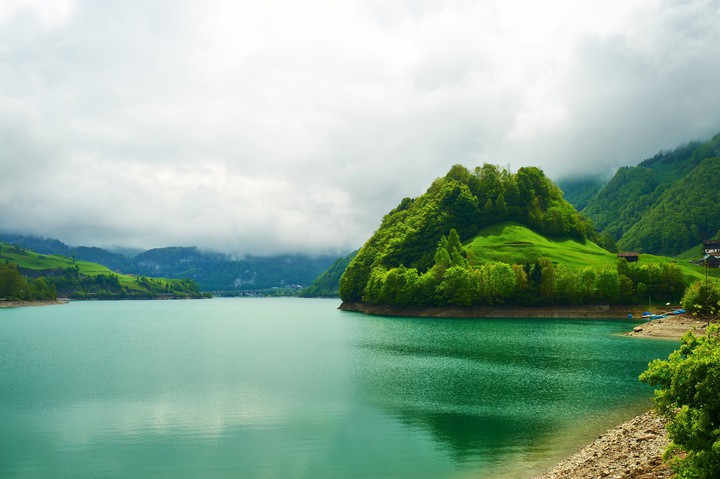 Lake Nature