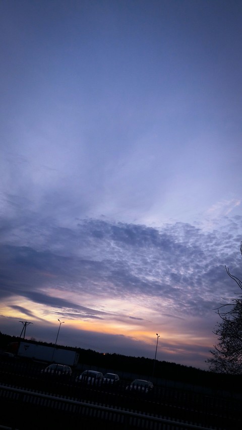 beautiful evening