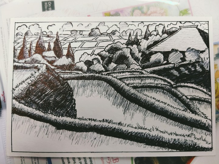 Sketches
