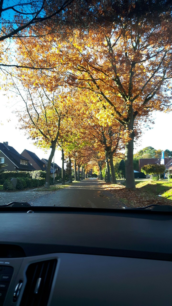 autum day