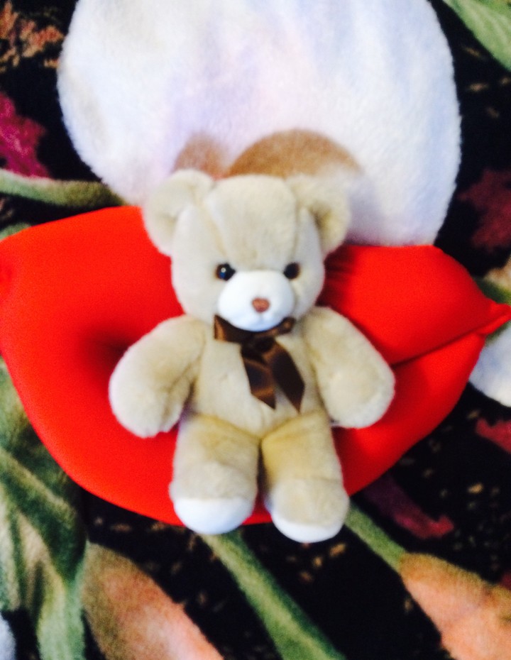 bear