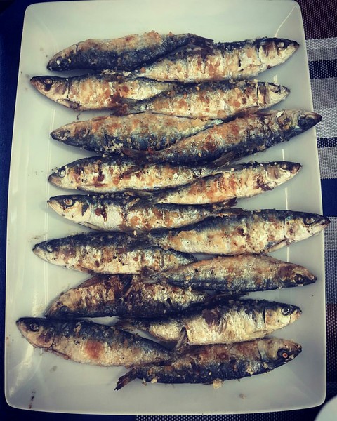 mackerel, capelin háttérképek