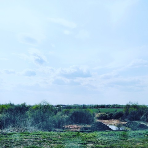 свобода