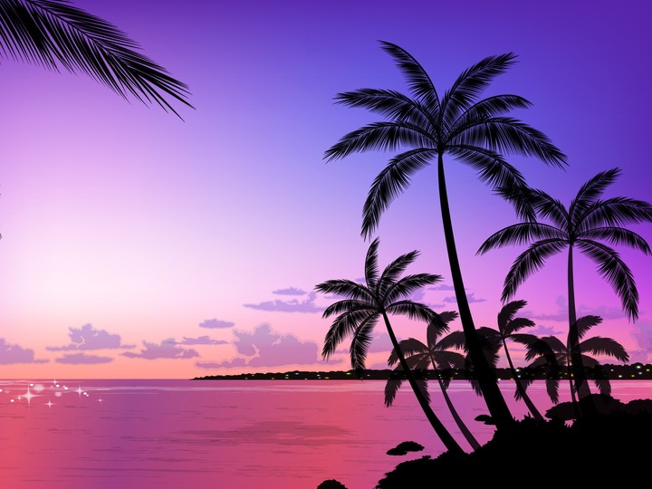 purple beach