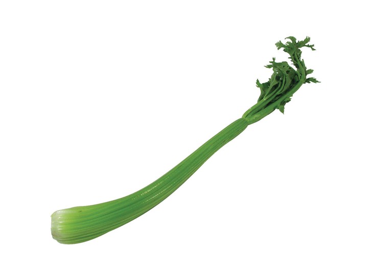 음식이미지