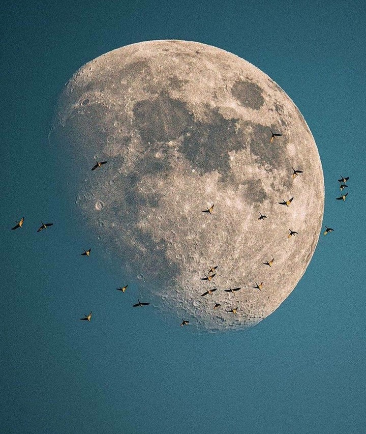 Moon