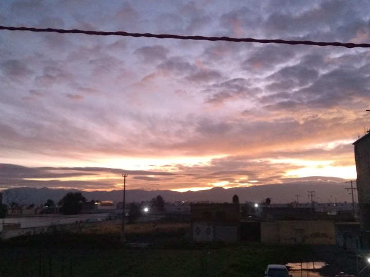 bonito